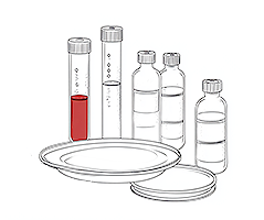 Cell-Culture.png